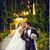 Negin Malekivash's profile image