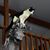 Susan Pogreba's profile image