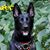 Keli Andrea's profile image