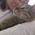 Luz Erazo's profile image