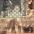 Judy Drago Montgomery's profile image