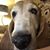 Laura McKee Smith's profile image