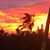 Beth Kiehn's profile image