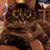 Jan Benwitz's profile image