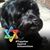Janet Hochstein's profile image