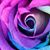 Delisia Constantine's profile image