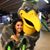 Kira Schleicher's profile image