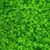 John Hopkinson Hoppy's profile image
