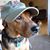 Janice Martin Camp's profile image