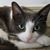 Karen Schurr's profile image
