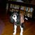 Sherry Allen's profile image