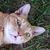 Heather Cadorette's profile image
