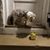 Elsa Ann Acton Grubb's profile image