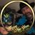 Evelyn Hargis Farris's profile image