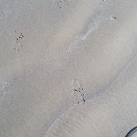 Karen Mathey's profile image