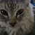 Robyn Ramsey's profile image