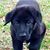 Amy Havelka Edmundson's profile image