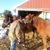 Stacey Orndorff Varner's profile image