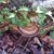 Rebecca Edmisten's profile image