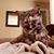 Holly Armstrong's profile image