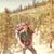Michael Morrelli's profile image