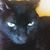 Jen Gardiner's profile image