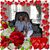 Rhonda Bieker West's profile image