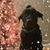 Rosanne Emily Duncan's profile image