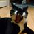 Darcy Stenzel Ulbrich's profile image