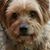 Nancy Reed's profile image