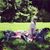Crystal L. Marsico-Wood's profile image