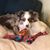 Artie Blume's profile image