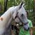 Missy Klenke's profile image