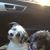 Libby Toscano's profile image