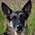 Andrea Robinson Frabotta's profile image