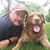 David Eveleth's profile image