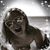 Melissa A Fodrocy's profile image
