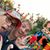 Susan Beazley's profile image