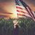 Jane Selgert Kollins's profile image