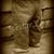 Amy ShutterLove's profile image