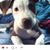 Kim Vincent's profile image