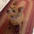 Jean Everett's profile image