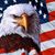 Eddie Nalley's profile image