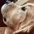 Susan Newton Northrup's profile image