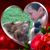 Donna Myers's profile image