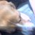 Paul Forth III's profile image