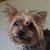 Wendy VanSickle's profile image