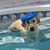 Judy Mackowski's profile image