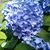 Ann Creech's profile image