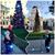 Joyce Renison's profile image
